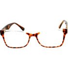 VT-28008-C2-TARTARUGA-1