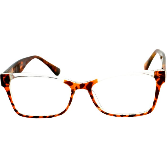 VT-28008-C2-TARTARUGA-1